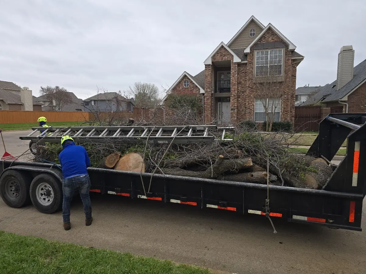 Expert Tree Fertilization with proper safety equipment in Langeloth